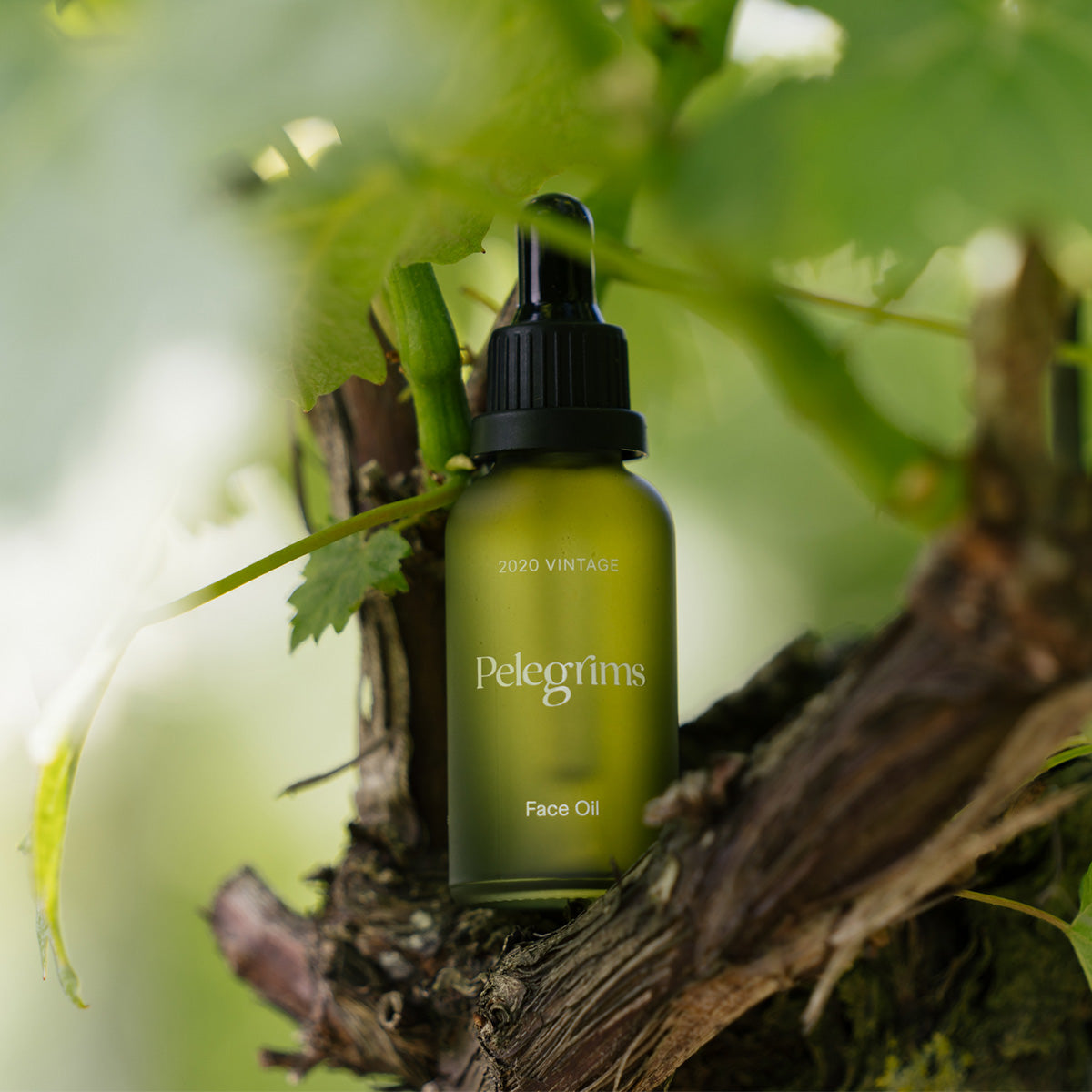 Hyaluronic Plump Facial Oil 30 ml