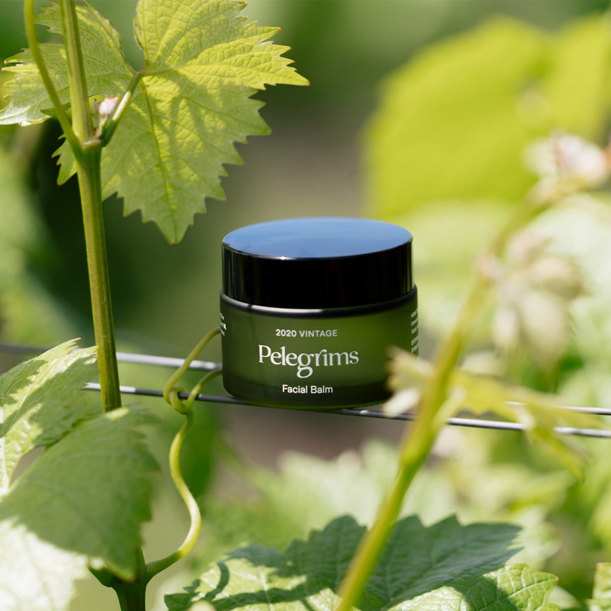 Rich Nourishing Facial Balm 50 ml